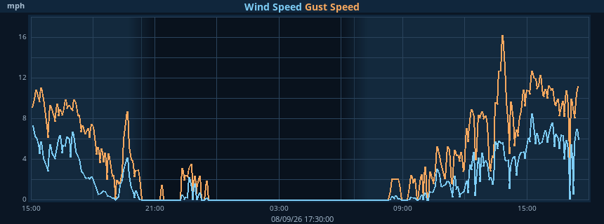 Wind speed and gust graph